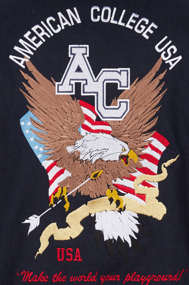 ac0071-navy-eagle-zoom